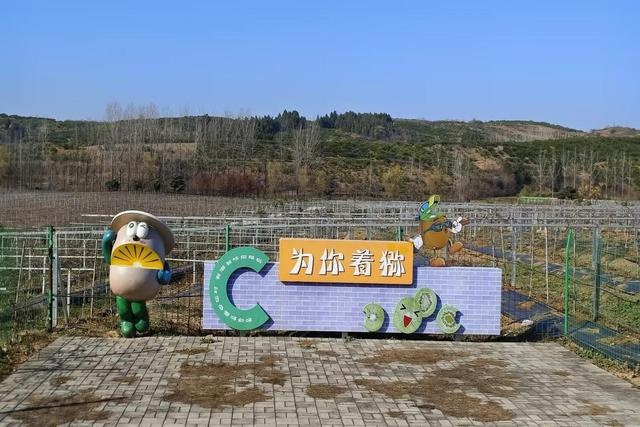 揭秘丹江口市杏花村：橙子满坡，村民乐翻天，幸福乡村画卷惊艳展开  第2张