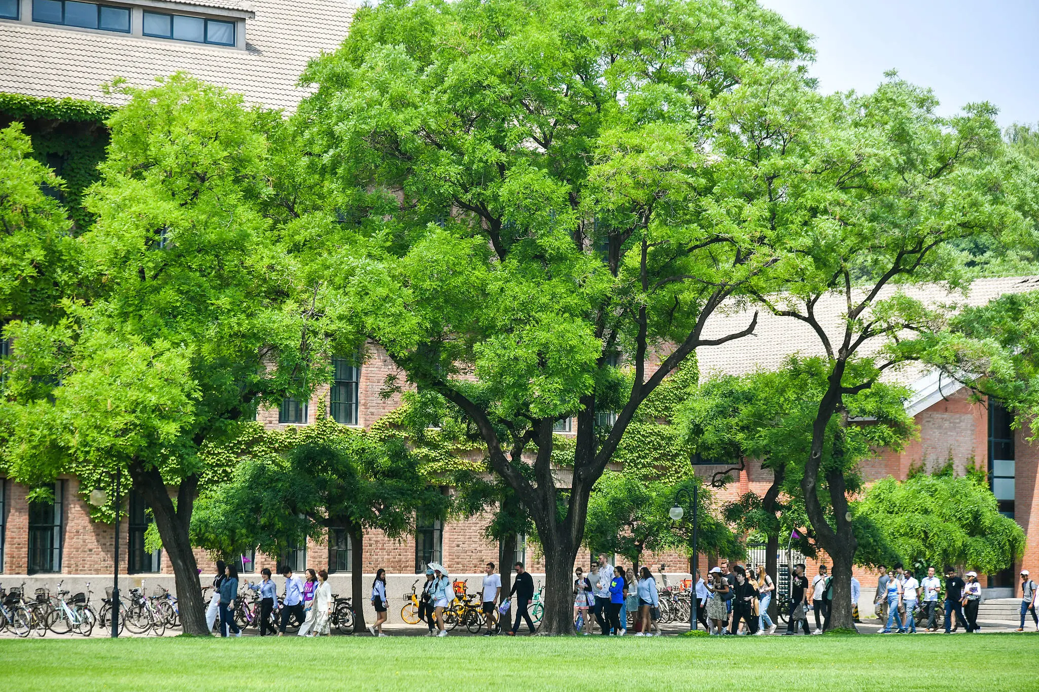 揭秘中国精英大学贫寒学子的逆袭之路：布迪厄理论下的社会流动奇迹  第2张