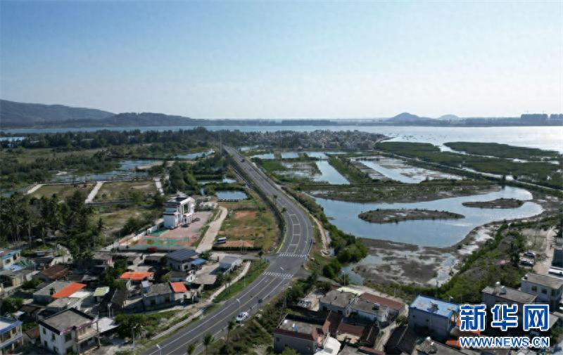 探秘陵水桐海村：7000米海岸线上的疍家文化与自然和谐共生