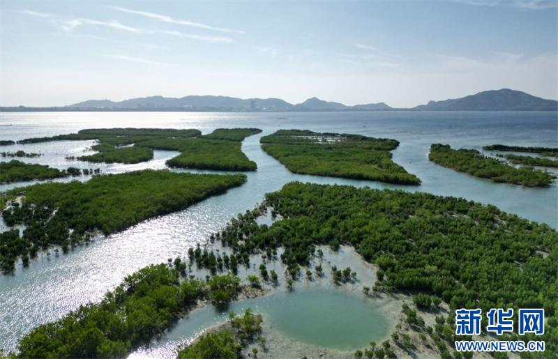 探秘陵水桐海村：7000米海岸线上的疍家文化与自然和谐共生  第2张