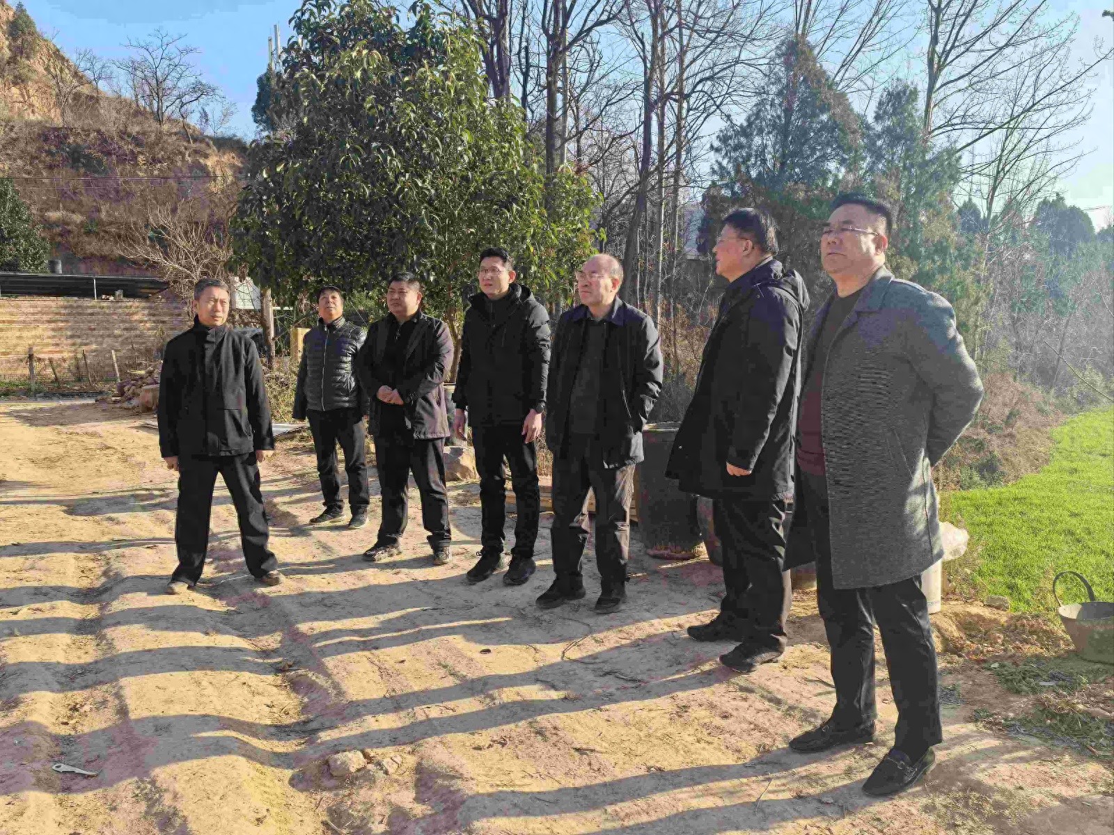 灵宝市2024年度耕地整改：专班推动，专题研讨，全力推进，成效显著