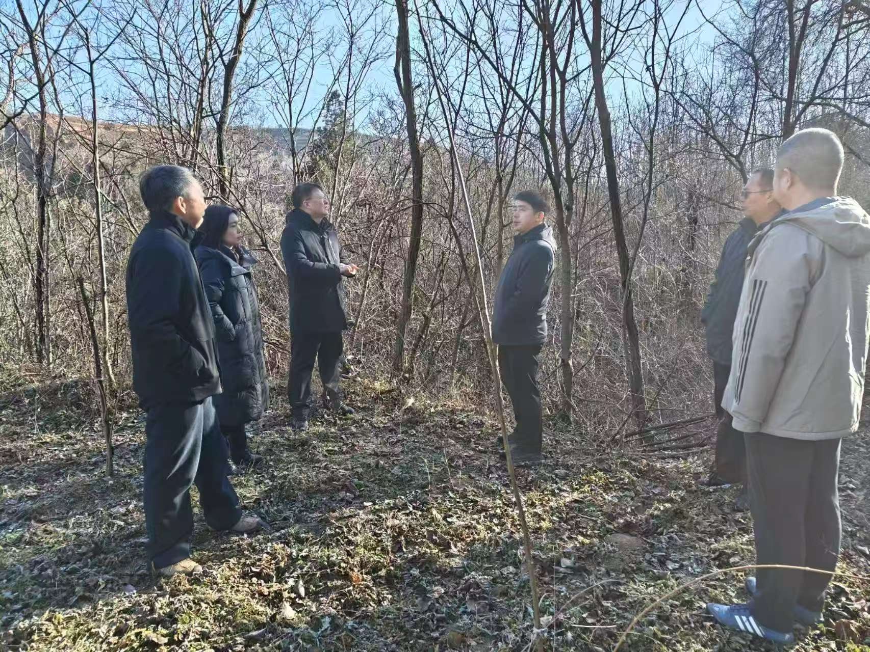 灵宝市2024年度耕地整改：专班推动，专题研讨，全力推进，成效显著  第3张