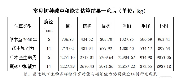 城市绿化新趋势：不栽大树栽大苗，成本低、固碳强、生态效益高  第4张