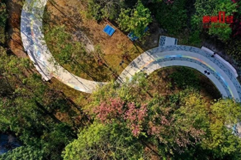 柳州新口袋公园惊艳亮相！彩虹步道、四季花海，你还不来看看？  第1张