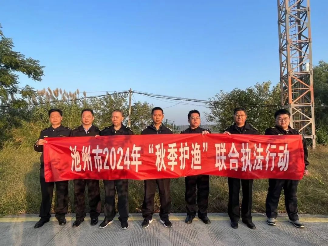 十年禁渔新突破！安徽池州跨界联动严执法，守护长江生态新篇章  第2张