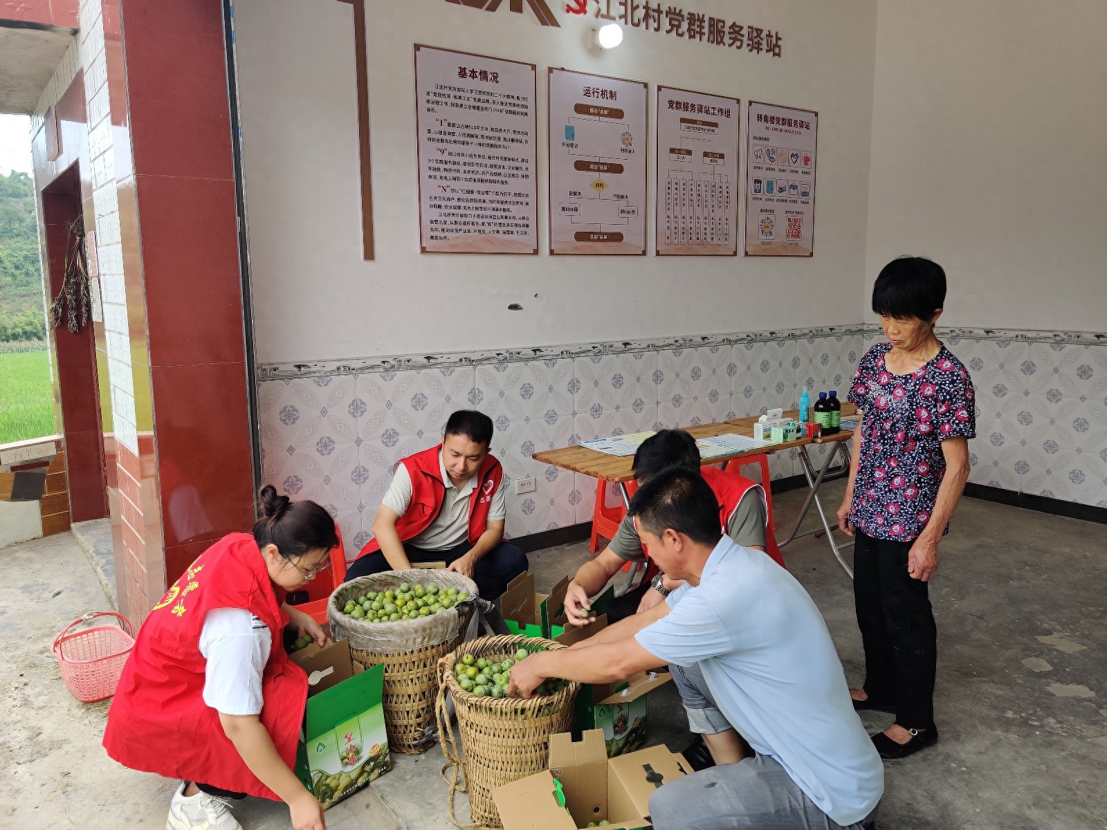 揭秘重庆合川区乡村振兴新策略：61名优秀干部如何点燃乡村发展引擎？  第1张