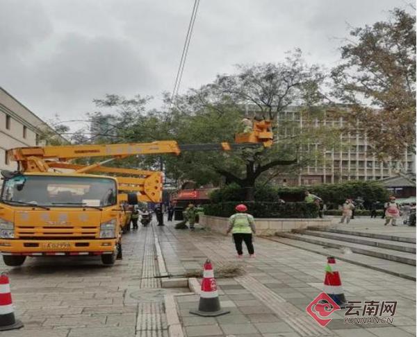 冬季来临，五华区绿化处为城市树木穿上保暖衣，筑牢安全防线  第3张