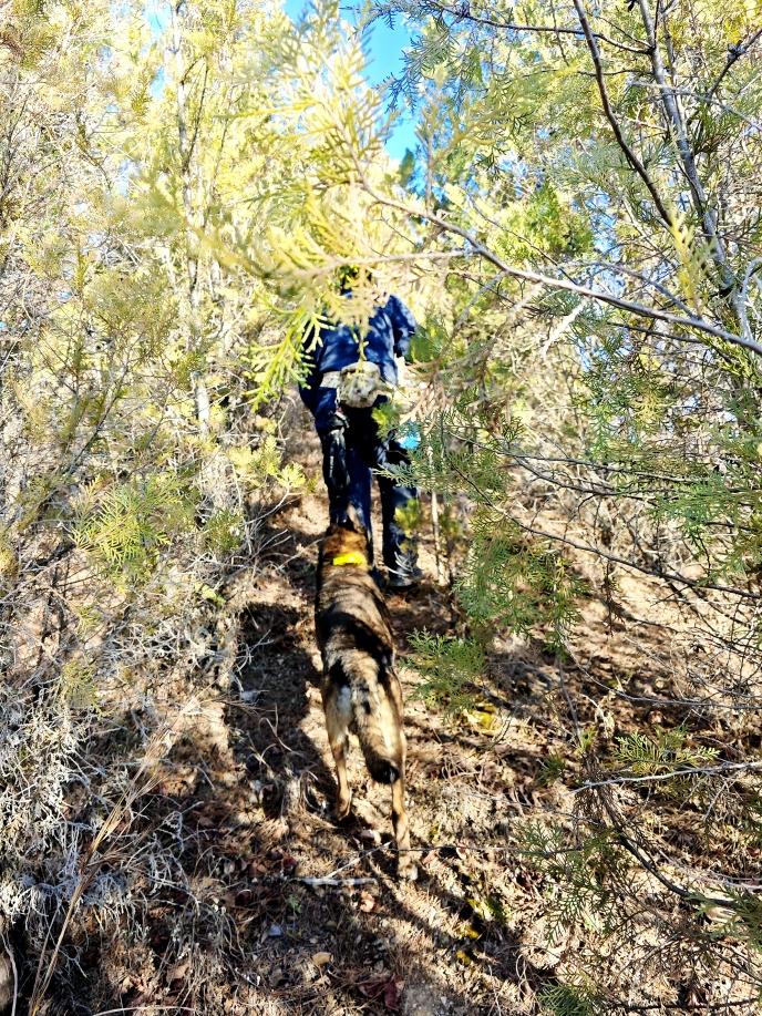 71岁老人深夜失踪，20人搜救队紧急行动，真相究竟如何？  第2张