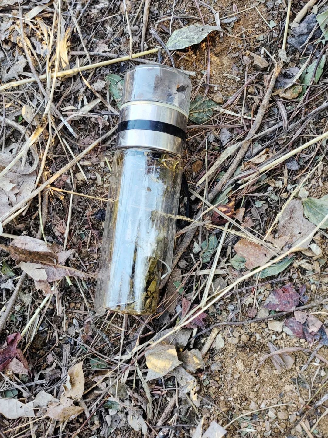 71岁老人深夜失踪，20人搜救队紧急行动，真相究竟如何？  第3张