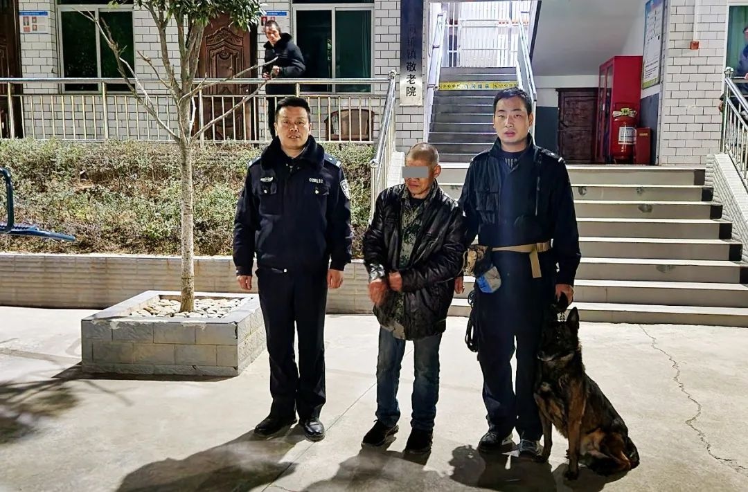 71岁老人深夜失踪，20人搜救队紧急行动，真相究竟如何？  第4张