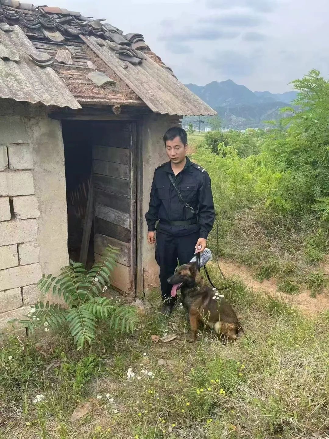 71岁老人深夜失踪，20人搜救队紧急行动，真相究竟如何？  第5张
