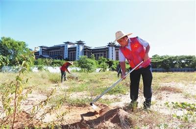 50 余人齐聚海棠湾，种下 200 株油茶苗木，这个活动太有意义了  第1张