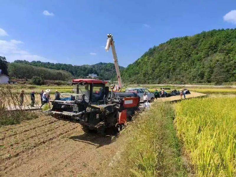 秋收盛事！贵阳乌当：瓜果飘香，抢收抢种忙不停  第3张