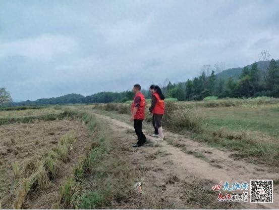 秸秆禁烧三抓进行时，丽阳镇全力守护蓝天白云  第1张