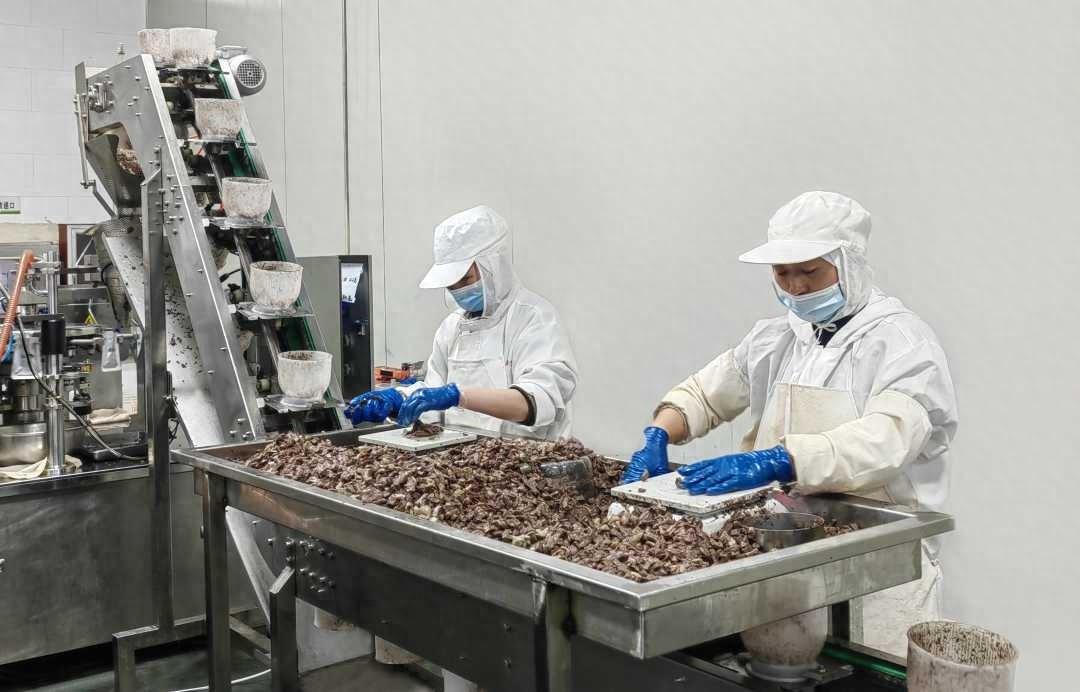 投资 2000 多万升级改造，这家肉鸡养殖厂如何实现智慧化养殖？
