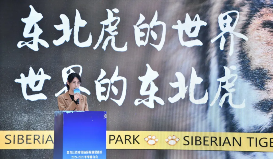 10 月 18 日，黑龙江省冰雪旅游发展促进会 2024-2025 冬季推介会（宁波站）盛大启幕  第5张