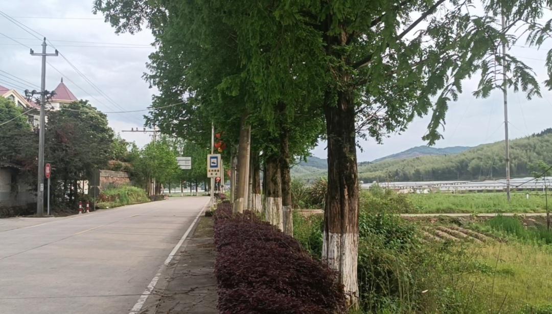 9 月底！武夷山省际通道路面改造工程最后一公里铺设完成，你期待吗？  第4张