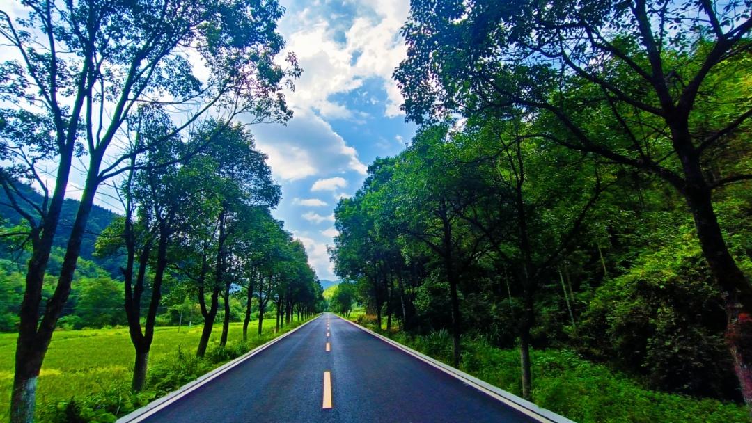 9 月底！武夷山省际通道路面改造工程最后一公里铺设完成，你期待吗？  第5张