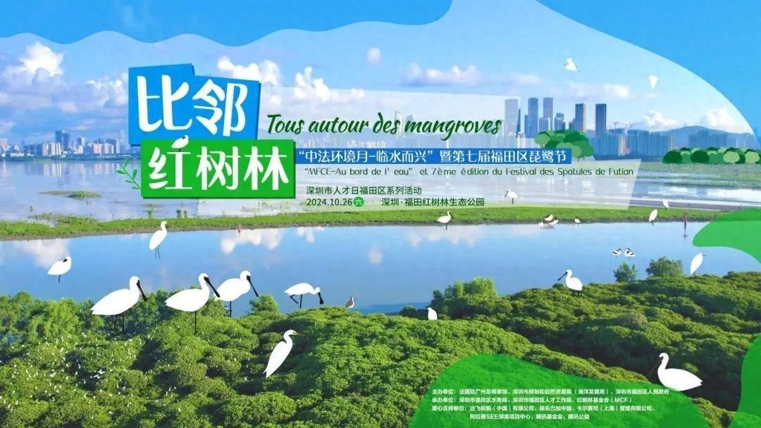 第七届琵鹭节即将来袭！与中法环境月牵手，共赴自然盛会  第1张