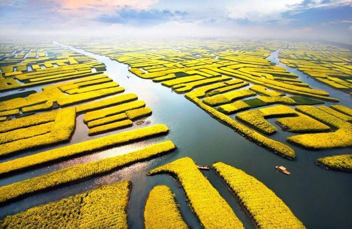 2024 兴化半马：五彩缤纷的赛道，领略里下河风光  第2张