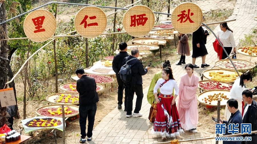 10 月 25 日，中国药食同源产业创新大会将在嵩县举行，助推相关产业发展  第1张