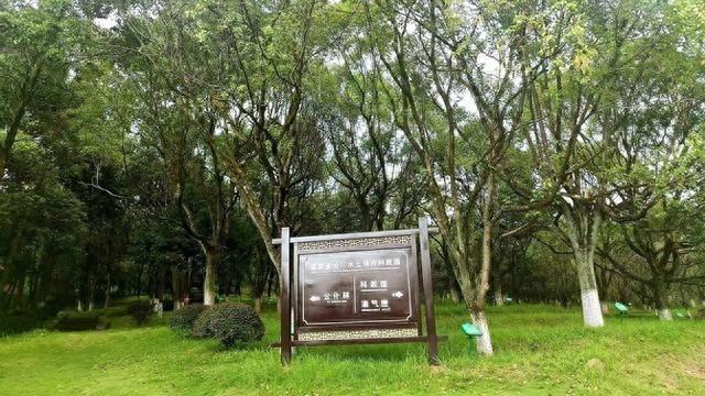 从山光水浊田瘦人穷到绿水青山粮满仓，龙岩公安做了什么？  第1张