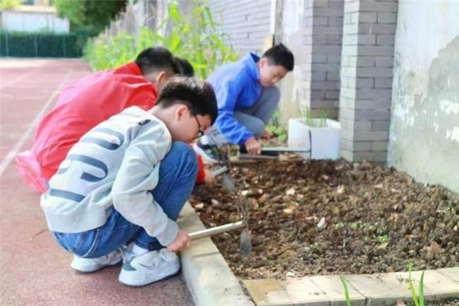 无锡一小学竟用这种方式让学生爱上吃饭  第2张