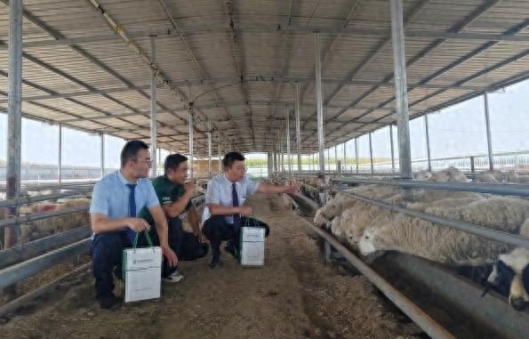 29 岁邮储银行客户经理，扎根古浪助农致富，背后的故事令人动容