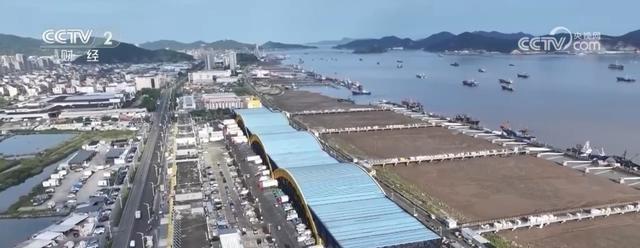 水果王国南宁：时令水果集中上市，丰富你的果盘子  第6张