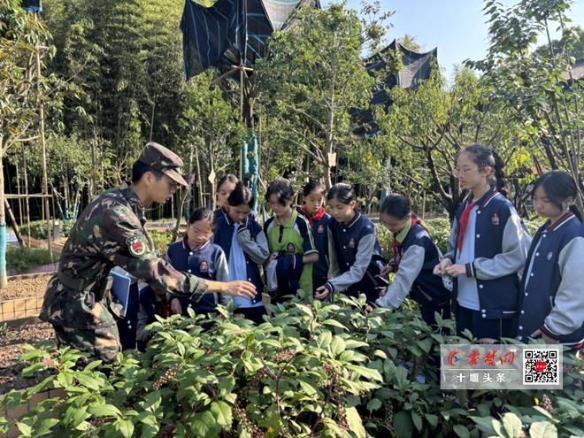 60 余名学生参与，十堰这场科普活动为何如此火爆？  第2张