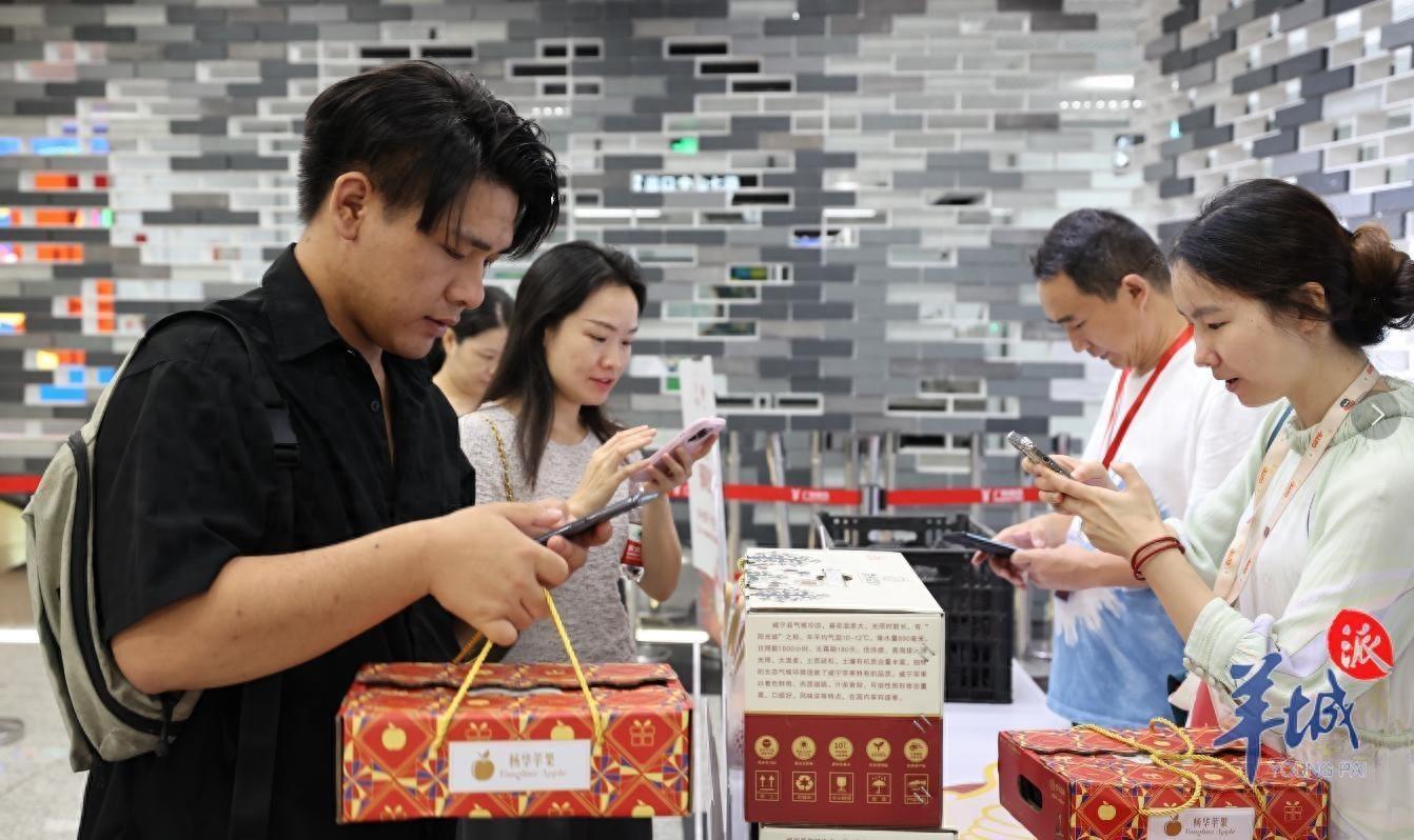 你敢相信吗？威宁苹果的可溶性固形物含量最高达 19.7%  第1张