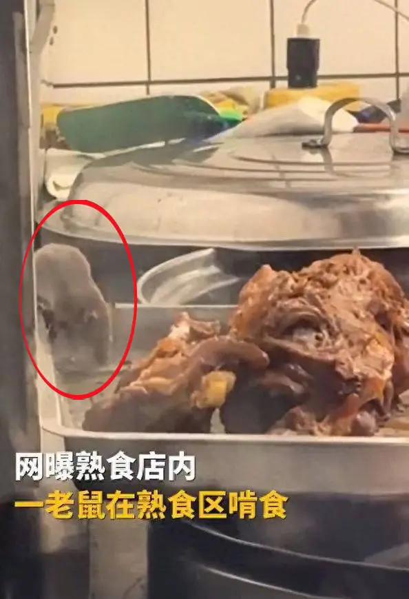 沈阳一酱肉店惊现老鼠啃食腱子肉，市场监督管理局出手了  第1张