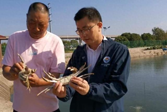 螃蟹界的高富帅江海 21 大闸蟹产量竟下降三成  第1张