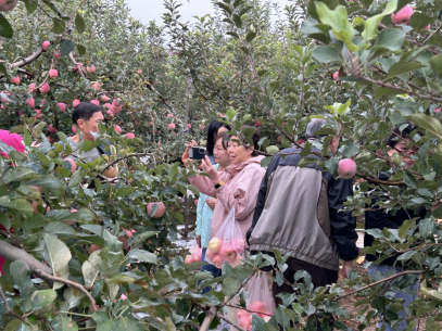 快来！新加坡游客都来体验的田园乐趣，你还在等什么？