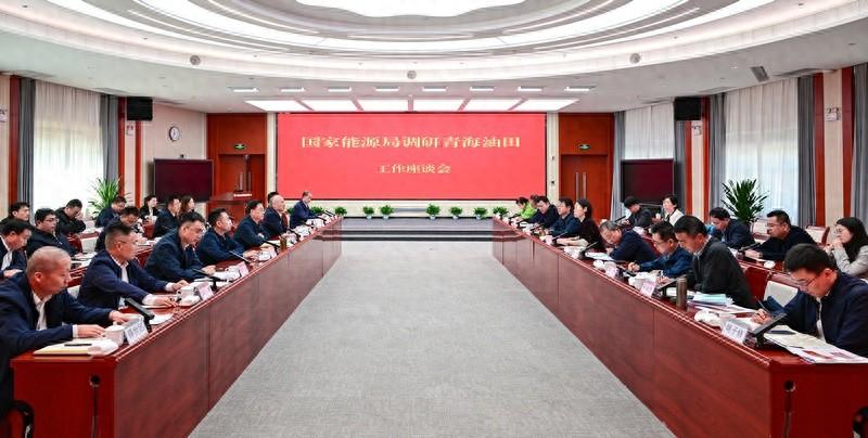 青海油气资源勘探开发潜力巨大，绿色低碳转型大有可为  第1张