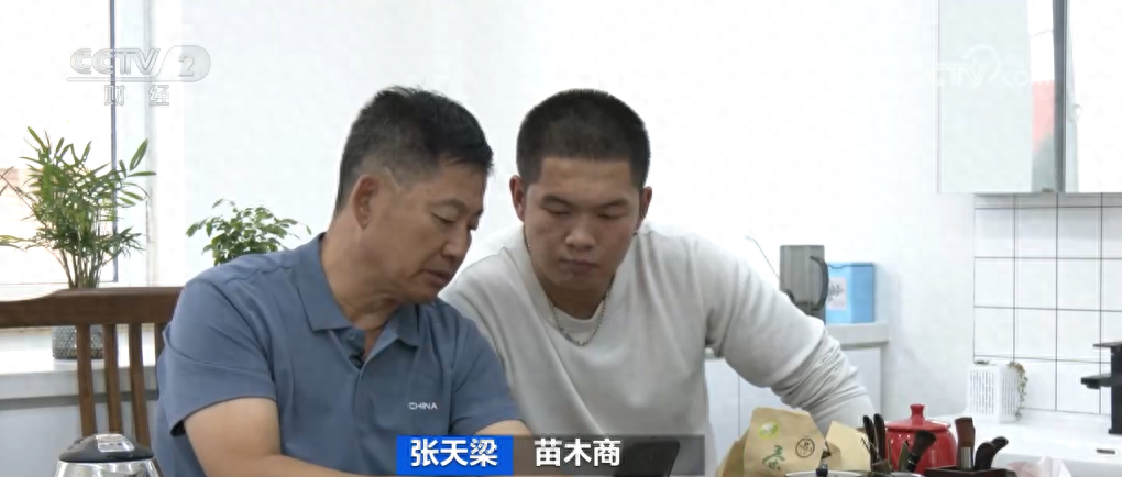苗木出口贸易商张天梁:订单纷至沓来,生意格外好  第1张 苗木出口贸易商张天梁:订单纷至沓来,生意格外好  第1张