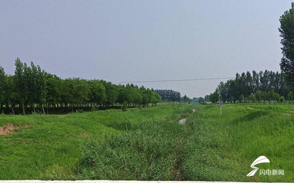 惠民县水系绿化工作取得重大突破，侯王店干沟和商东河绿化率达 100%  第1张