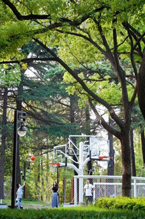 太震撼了！南通城市公园竟有 150 余片运动场地，家门口就能健身  第1张