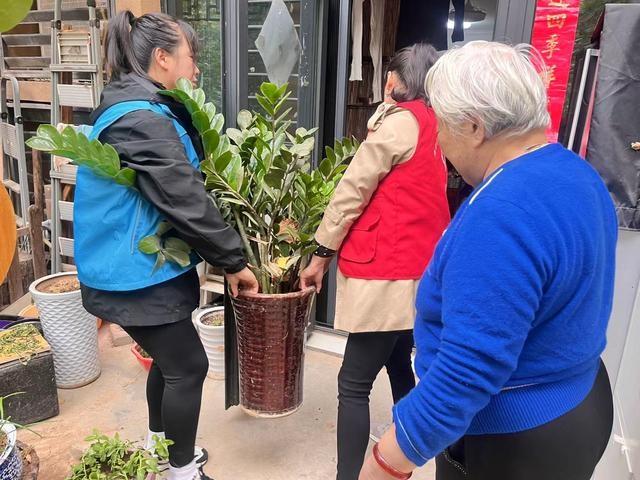 每年两次！西安社区为独居老人搬花盆，这服务太暖心了