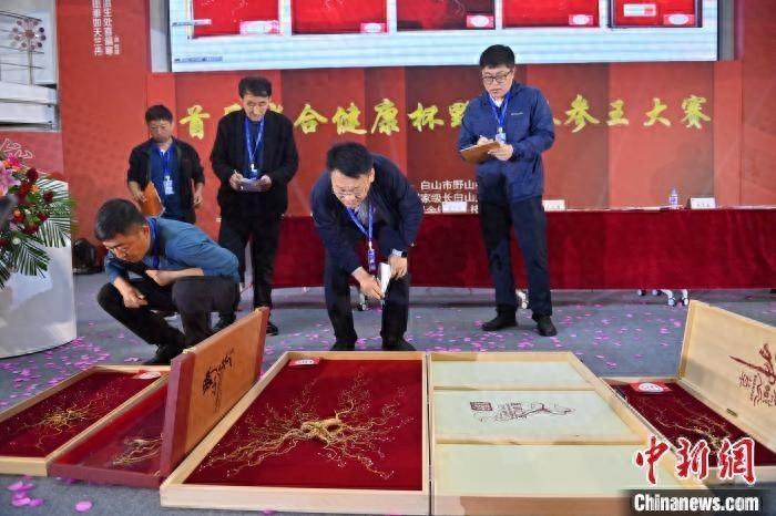 人参产业综合产值突破 700 亿！吉林将建立林下参原产地和传统种群保护制度