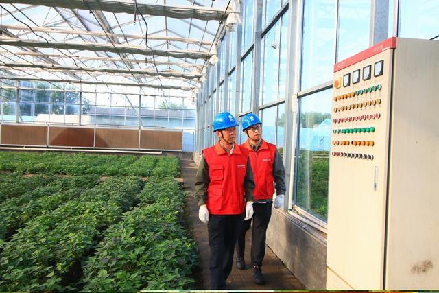 河南日报：国网汝阳县供电公司纪委监督村网共建，提升群众用电获得感  第2张