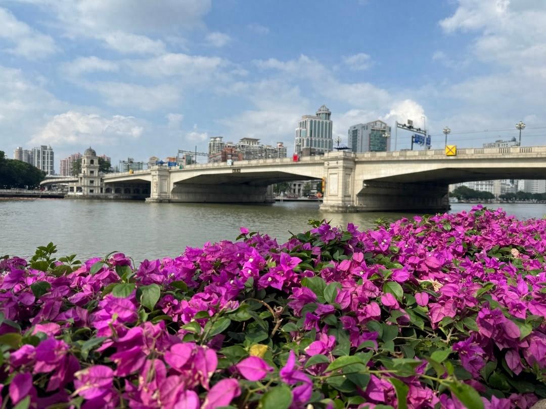 冷空气不配拥有名字？广州气温即将骤降，你准备好了吗？  第1张