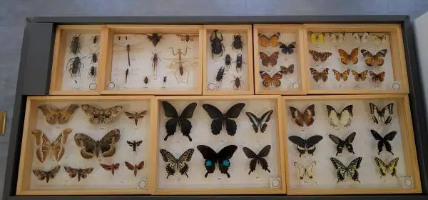 上海首个沪乡文化沉浸式体验馆开放，快来感受南汇传统文化的魅力  第4张