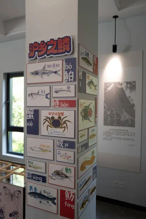 上海首个沪乡文化沉浸式体验馆开放，快来感受南汇传统文化的魅力  第5张