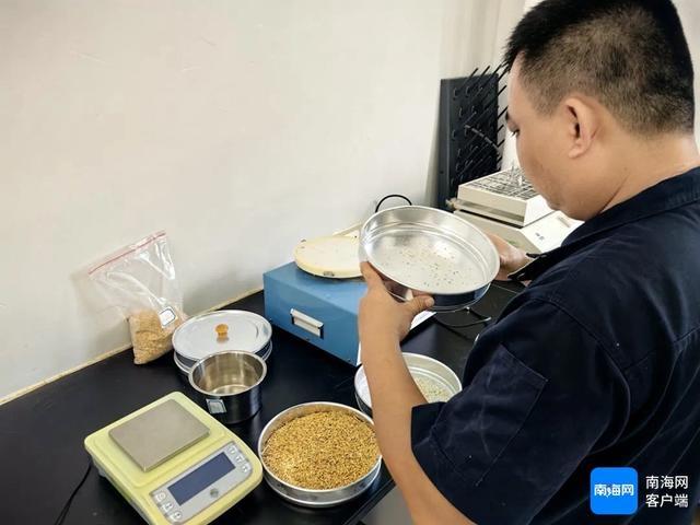 第 44 个世界粮食日！陵水粮食储备库如何实现科学存储、精准调度？  第2张