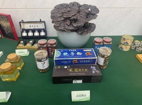 林草产竟然有这么多好处？！国家林草局：发展森林食物，保障国家粮食安全  第1张