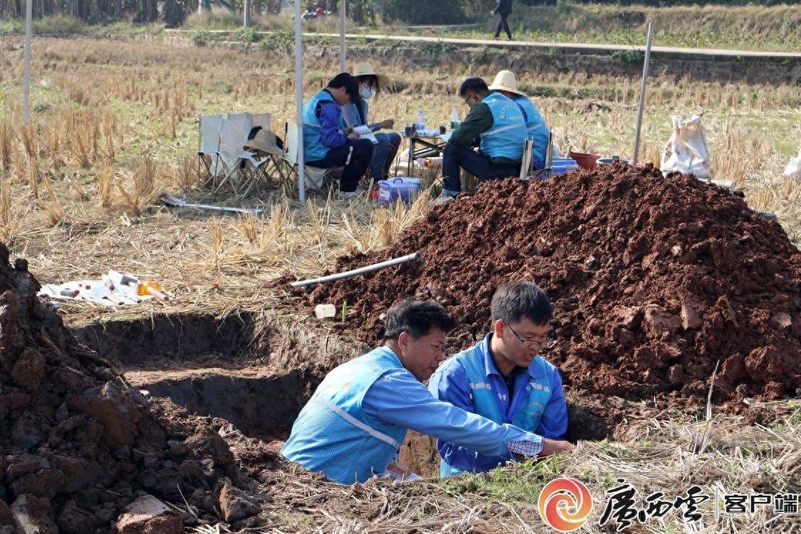 全国首个县级土壤类型图制图规范团体标准发布实施