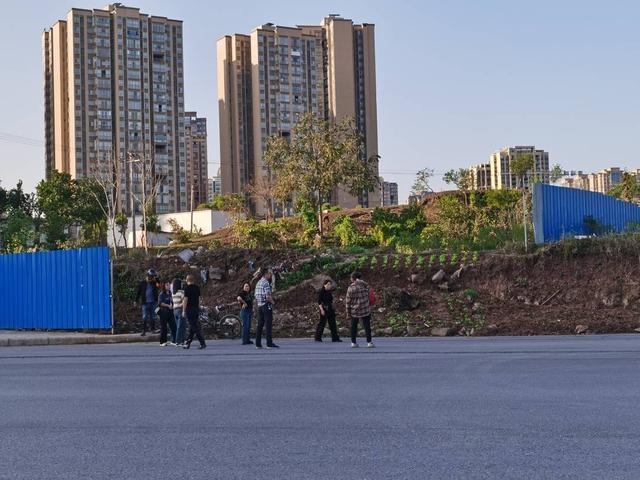 菜地被征却因大气污染禁种？真相来了  第2张