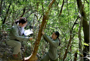 江西省生态环境监测中心完成全省 41 个生态质量样地监测质控工作,意义重大 第1张 江西省生态环境监测中心完成全省 41 个生态质量样地监测质控工作,意义重大 第1张