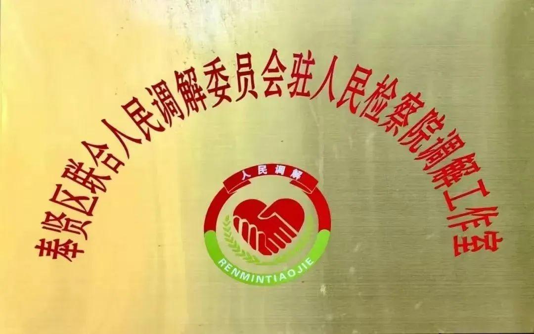 奉贤区司法局三化协同，打造多元解纷新格局，筑牢平安建设根基  第5张